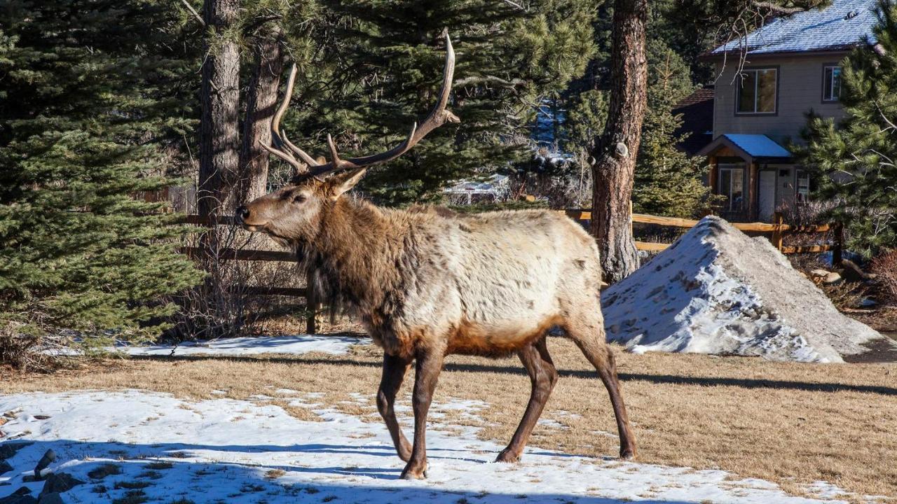 Hotel Beaver Brook On The River Estes Park Exterior foto